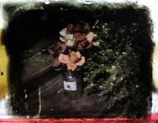 IMG_9175s.jpg