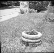 img103.jpg img103.jpg