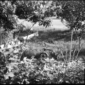 img112.jpg
