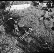img117.jpg