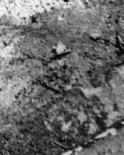 blur detail026.jpg