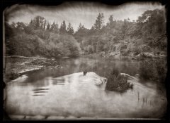 riverview.glass.neg.01a.jpg