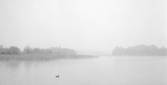 lilydale_lake_1000pix.jpg lilydale_lake_1000pix.jpg