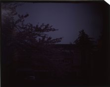 45014.jpg 45014.jpg