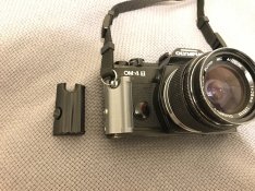 IMG_4231.JPG