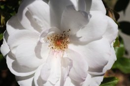 DSC_3040_01.jpg