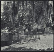 Savannah LR.jpg