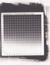 Test 7 Scan Correct color INT 45.jpg