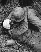 wounded.jpg
