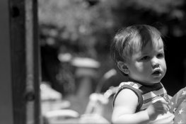 41449716500_29f38d33d8_k.jpg