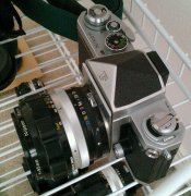 IMAG4504-1.jpg