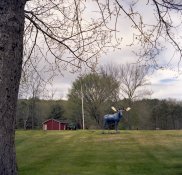 img647.jpg