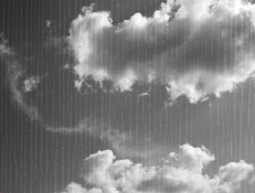 Screen Shot 2018-07-27 at 7.13.28 AM.png