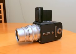 IMG_6311.jpg
