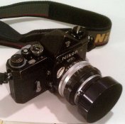 IMAG9168-1-1-1.jpg