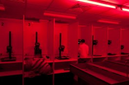 college darkroom.jpg