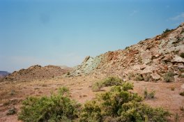 jdoss-1017-EKTAR-13.jpg