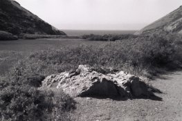 Fuji NPH in color with CCR.jpg