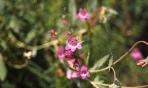 test017.jpg