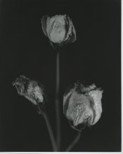 img004.png