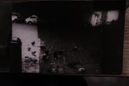 DSCF5965.JPG