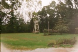 wind mill.jpg