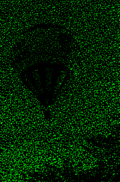 upload_2018-10-13_1-33-25.png