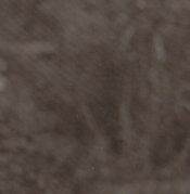carbon5_crop.jpg