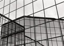 Reflecitions 2 copy.jpg