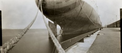 wwpd-dww-small.jpg