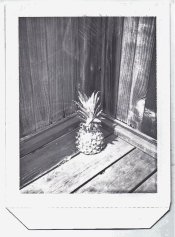 Pineapple.jpg