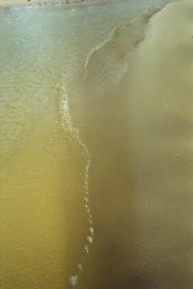 img230-5.jpg