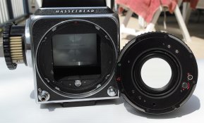_SDI0558.JPG