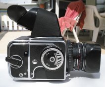 _SDI0560.JPG