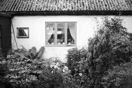 100905_32s.jpg