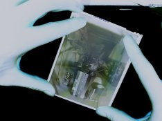 Screen Plate from Negative.jpg