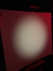 IMG_5851.jpg