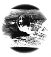 iPhone enlarger.jpeg