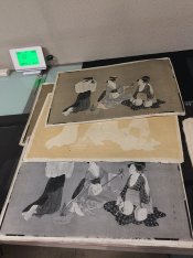 Collotype_B&W-plus-brown_a.jpg