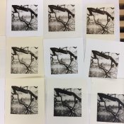 Collotype_prints_a.jpg