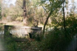 Old viewing pier.jpg
