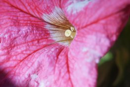 Macro set up test shot 1.jpg