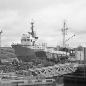 Boat Yard 1.jpg