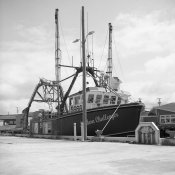 Boat Yard 3.jpg