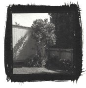 Backyard.jpg