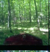 img328.jpg