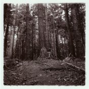 4-Trailside-810x810.jpg