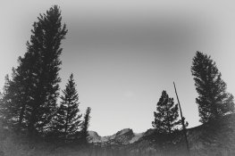RMNP #1.jpg