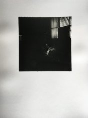 7F97B7FC-36B0-42E5-A3FF-94C73608284E.jpeg
