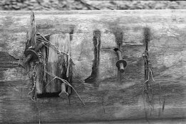 25-2018-03-20-res-800.jpg 25-2018-03-20-res-800.jpg